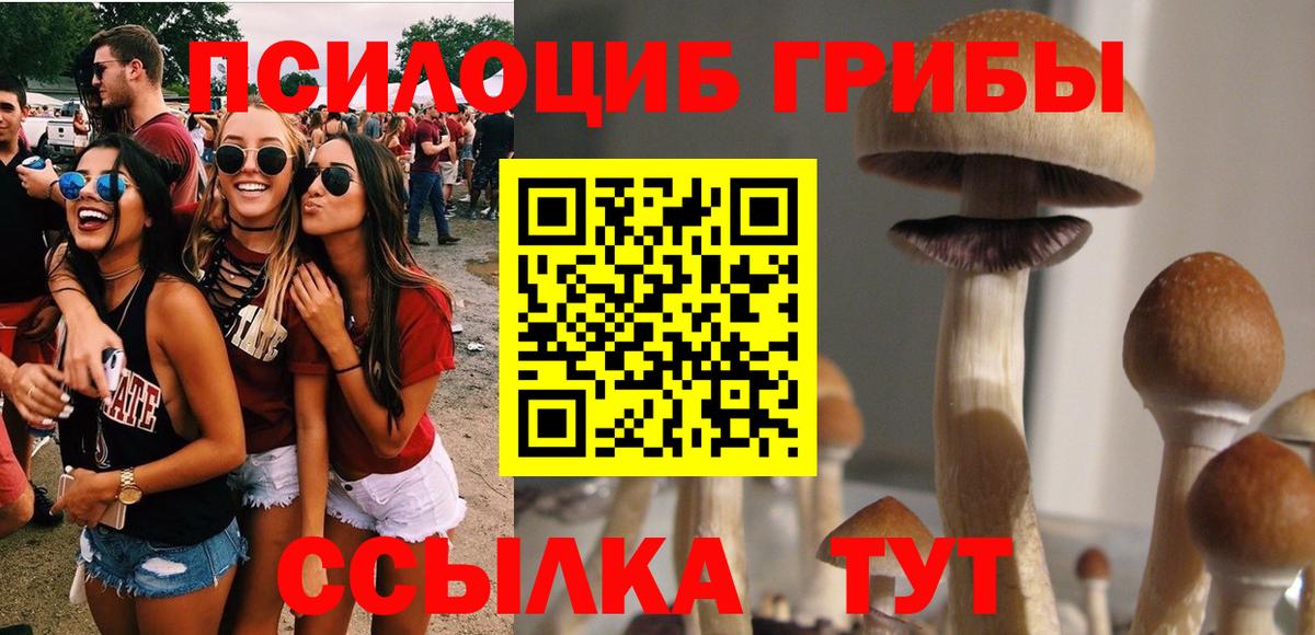 Псилоцибиновые грибы мицелий Аксай