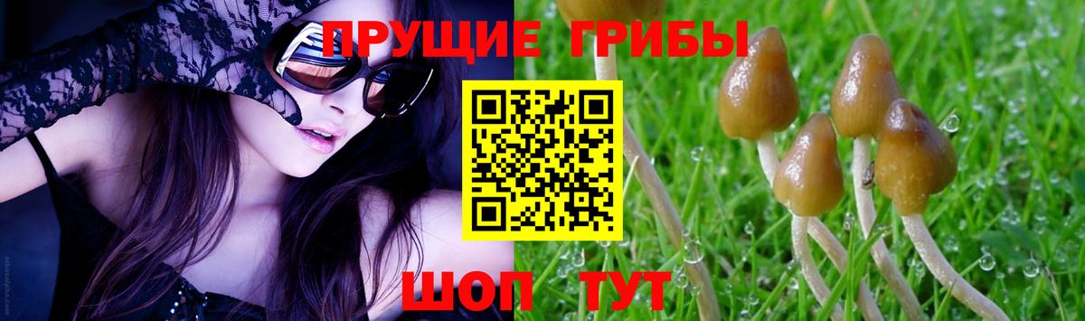 где купить наркотик  Вход с VPN  Аксай  Псилоцибиновые грибы ЛСД 